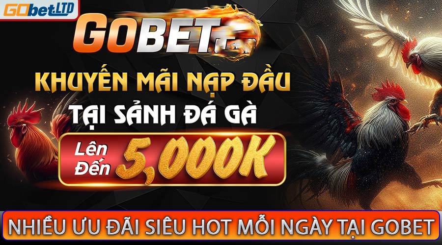 Nhiều ưu đãi mỗi ngày tại gobet